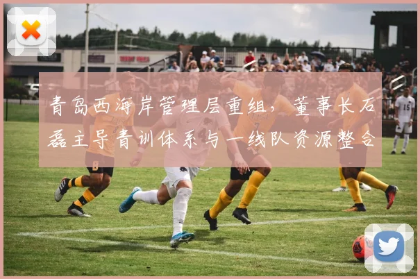 青岛西海岸管理层重组，董事长石磊主导青训体系与一线队资源整合