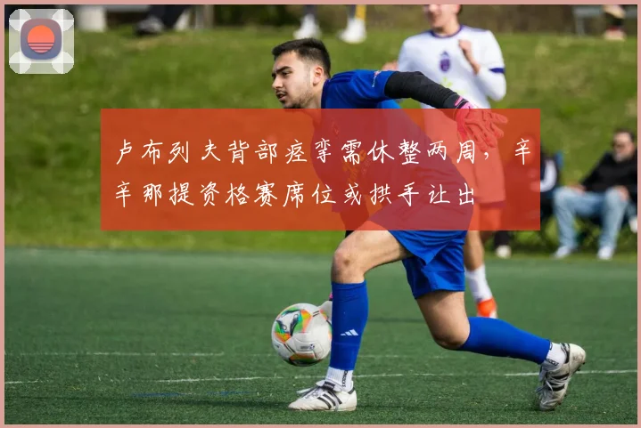 卢布列夫背部痉挛需休整两周，辛辛那提资格赛席位或拱手让出